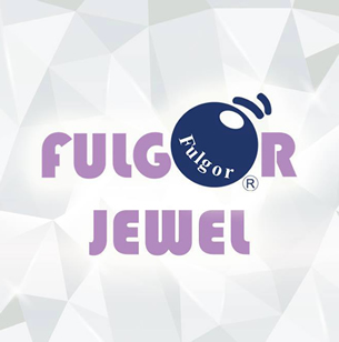 FulgorJewel-FB-Logo-Silver-Steel-PetTag.jpg